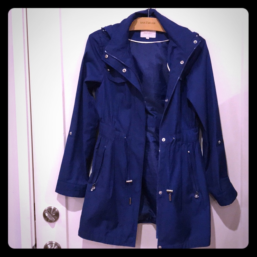 Royal Blue Laundry by Segal Jacket!